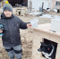 Новый дом для Грома - Газета Знамя