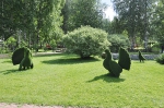 Краски лета