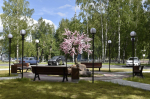 Урай
